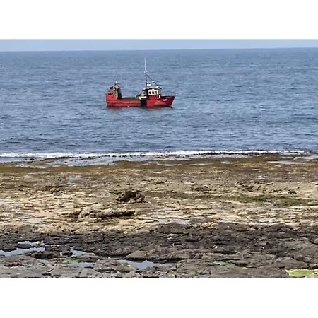 Wild Atlantic View