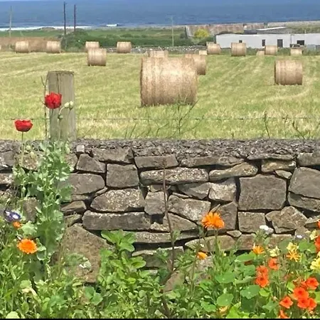 Wild Atlantic View