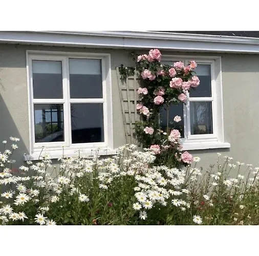 Wild Atlantic View Bed & Breakfast *