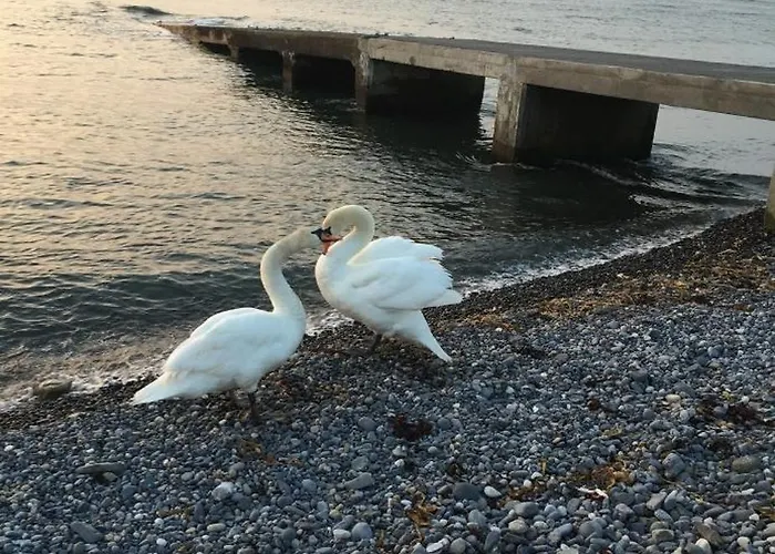 Wild Atlantic View 슬라이고